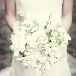 Photography: Tamara Lackey