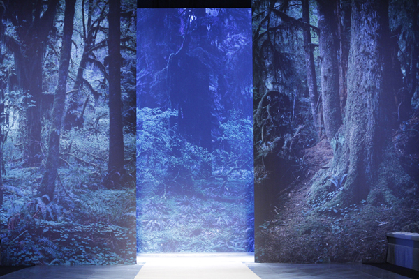 Runway Backdrop