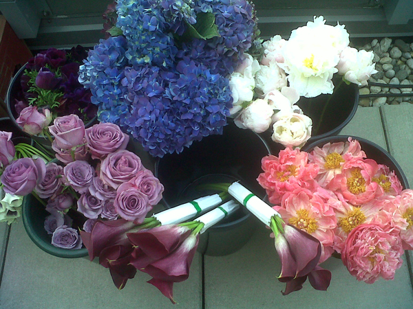 Flowers on Set Flowers on Set