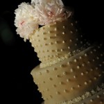 DSC_0743 Cake