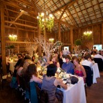 Venue Decor Table decor
