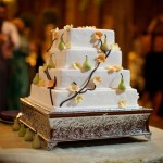 Cake Cake