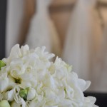 Double White Fresia