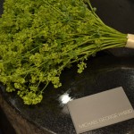 Ladies Mantle