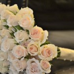Rambling Lydia Roses
