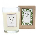 Verte
