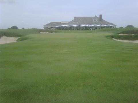 Hamptons Hamptons