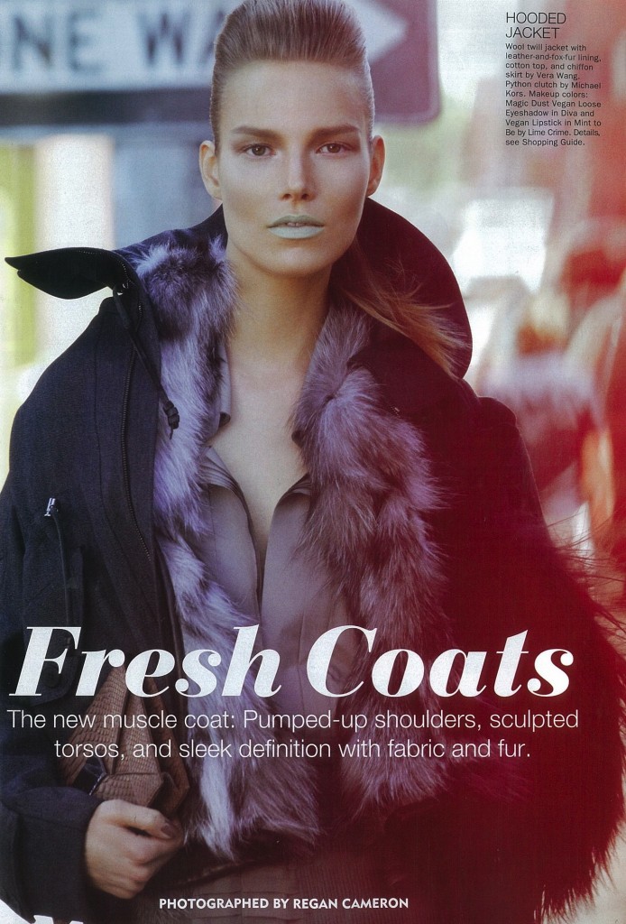 Fresh Coats Fresh Coats