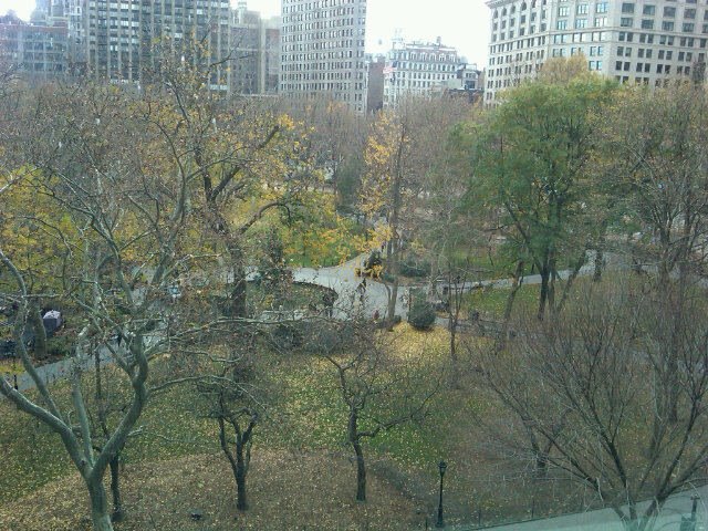 Fall in NY Fall in NY