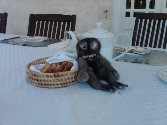 Ricky at breakfast! Tea and toast at Casa Bohemia! XxVera