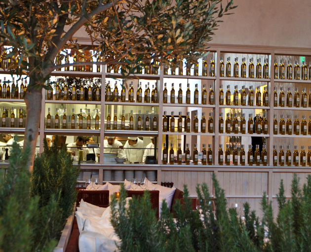 Fig & Olive