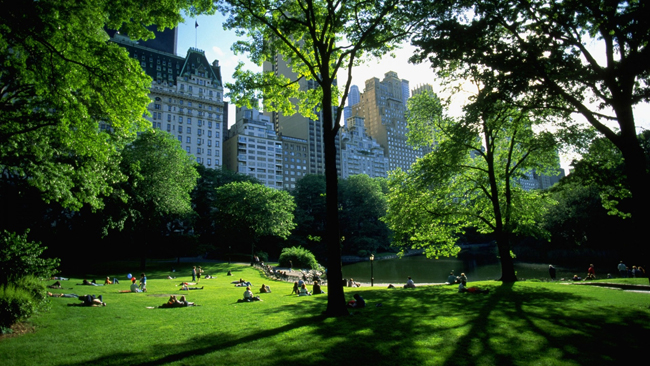 Central-Park-view
