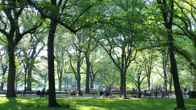 central park 1