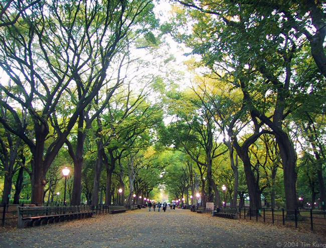 central-park-the-mall-1577-x-1200-2-1024x779