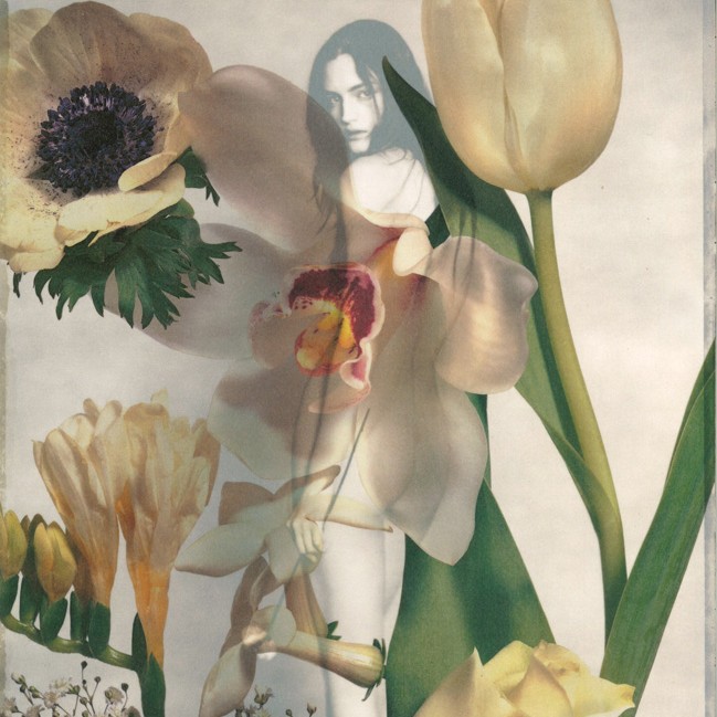 Flowers Flowers