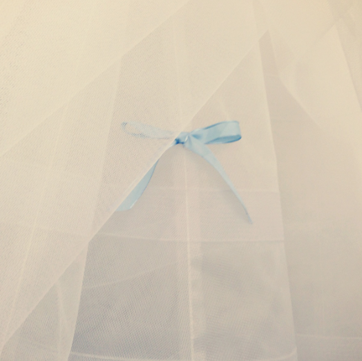Something Blue Pinned to a Vera Petticoat