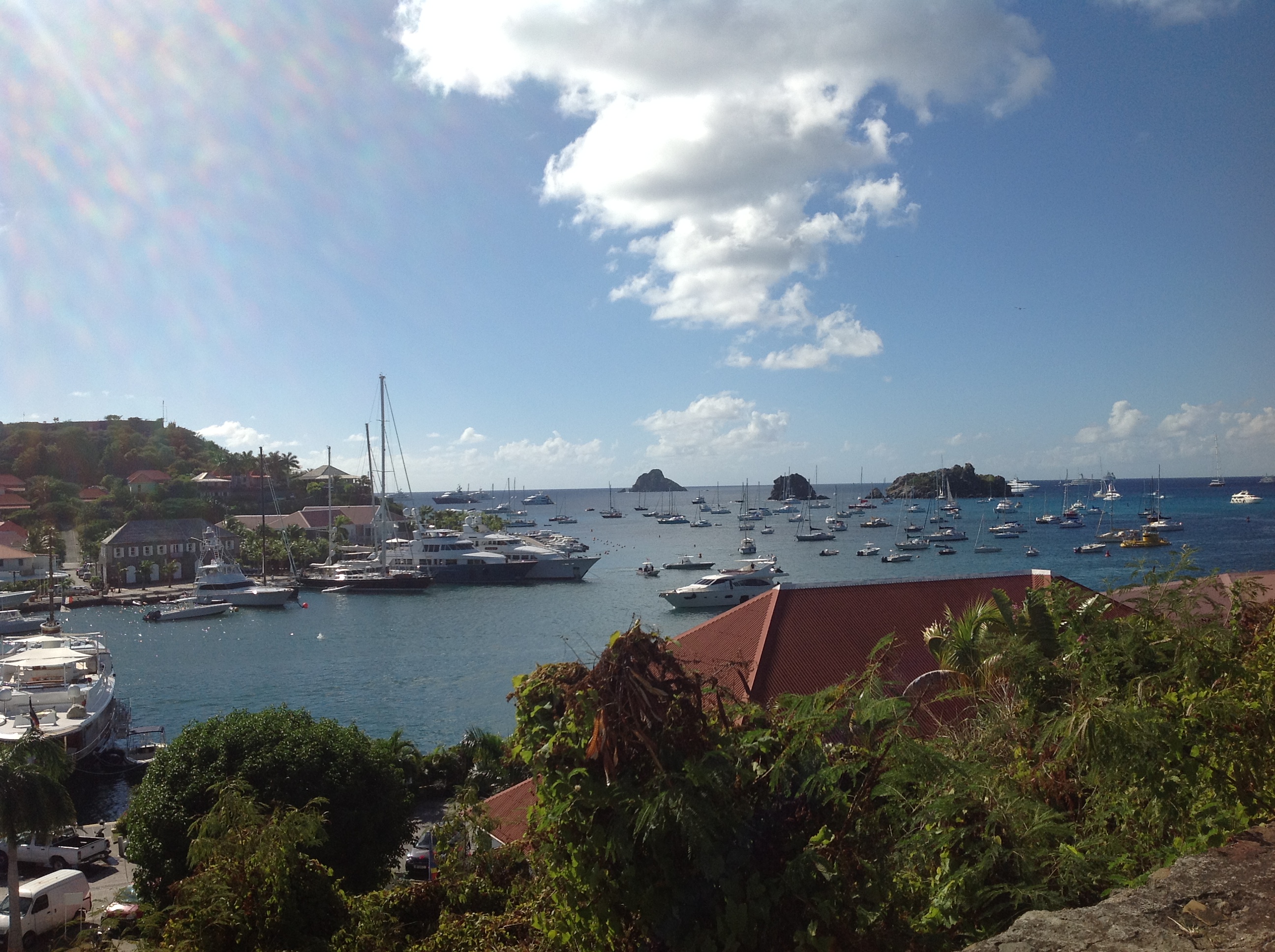 photo[6]